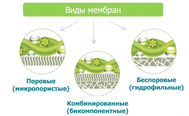 Виды мембран