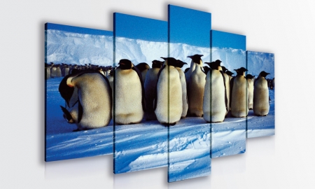 Холсты для печати