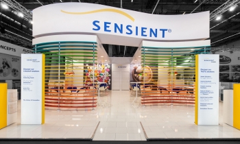 Чернила Sensient