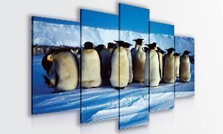 Инновационные ткани Бергер (Berger)