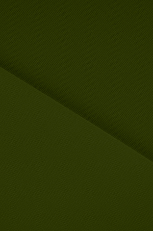 Джерси Спорт 30C Fabreex, Стрейч, 260 г/кв.м, 160 см