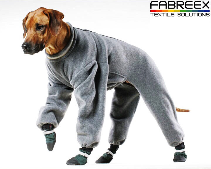 Собака во флисивом костюме